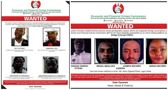 CBEX-efcc 1