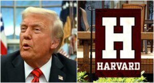 Trump-X-Harvard-University-2