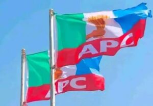 APC flag 2