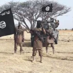 Boko Haram M