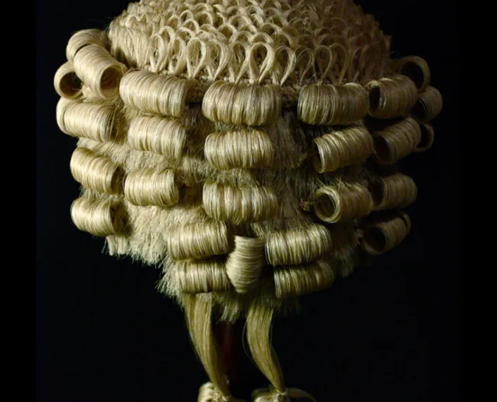 Lawyers-wig 2