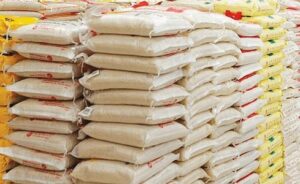 Rice