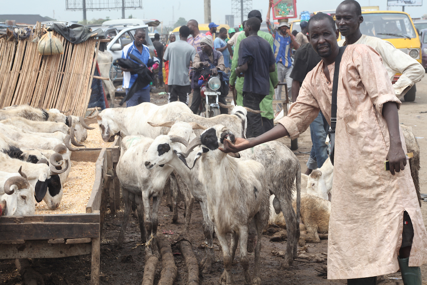 Sallah Ram