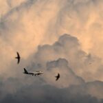 War planes