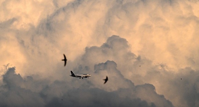 War planes