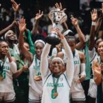 D'Tigress