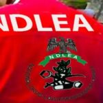 NDLEA Commander
