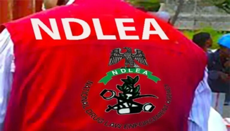 NDLEA Commander