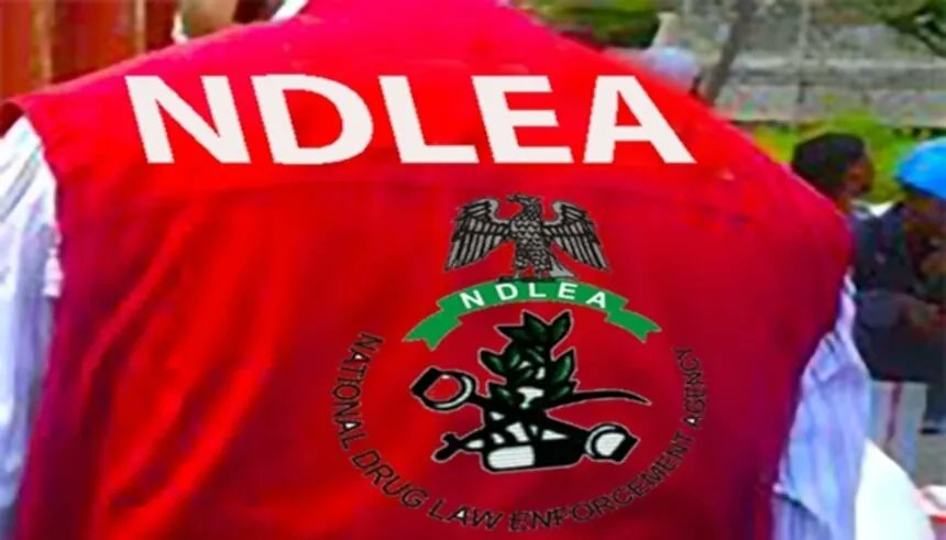 NDLEA Commander
